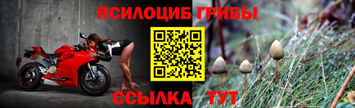 Галлюциногенные грибы MAGIC MUSHROOMS Новоалтайск